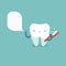 Tooth is brushing with toothbrush, dental concept