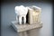tooth cast and sample for dental implantology with metal plate on grey background