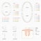 Tooth chart, human teeth