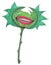 Tooth flower, hand drawn, cartoon plant illustration, isolated on white. Perfect for stickers, poster, Art & Illustration