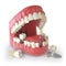 Tooth human implant. Dental concept. Human teeth or dentures.