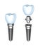 Tooth implant