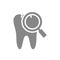 Tooth with magnifying glass gray icon. Organ research symbol.