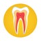 Tooth Medical Care World Health Day Healthy Banner