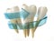 Tooth protection concept. Teeth with blue arrow isolated on whit