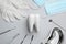 Tooth shaped holder, set of different dentist`s tools, face masks and gloves on light grey background, flat lay