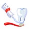 Tooth, toothbrush, toothpaste on white background
