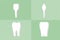 Tooth type - incisor, canine, premolar and molar