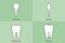 Tooth type - incisor, canine, premolar, molar, dental cartoon vector