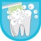 toothbrush brushing a tooth. Vector illustration decorative design