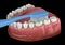 Toothbrush cleaning teeth. Medically accurate illustration of oral hygiene