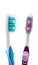 Toothbrush colorful hygiene devices isolated