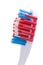 Toothbrush Head