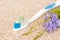 Toothbrush  health care for oral cavity with flowers