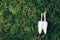 Toothbrush stand shaped like primary molar tooth with toothbrushes on green moss background. Top view. Copy space