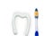 Toothbrush and toothpaste in the form of a tooth white background