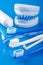 Toothbrushes and individual plaster dental molds