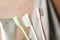 Toothbrushes, tube and towel, close up. Dental