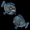 Toothy piranha painted front and back, vector fish