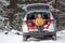 Toothy smiling Caucasian girl in yellow jacket sits inside of vehicle back. Winter evergreen forest with snow covered pines