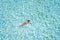 Top above high angle aerial drone view of her she pure blue perfect clean clear ocean water pool girl diving enjoying