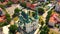 Top aerial panoramic view of Lowicz old town historical city centre with Rynek Market Square, Old Town Hall, New City Hall,