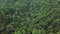 Top Aerial View of Dense Lush Rainforest Tree Crowns. Intact Pristine Untouched Unspoiled Nature