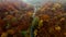 Top aerial view of empty forest road with autumn colors. Aerial view of curvy road in autumn forest