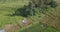 Top aerial view of a people working in a rice field