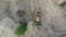 Top Aerial view on Tracked Bulldozer Rides on Sandy Road at Construction Site