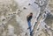 Top aerial view of young bearded man standing on frozen snow field looking upward. White copy space background