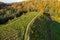 Top of the baltic mound with beautiful colors of autumn photographed with a drone on sunny day.