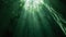 The top of a bioreactor tank filled with dark green algae as the sunlight streams in from above. The scene resembles a