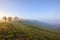 Top Of Celery Fields Hill On A Foggy Morning, South Side