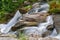 The Top Of Chittenango Falls At Chittenango State Park In New York