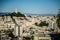 Top city views from lombard street in san francisco california