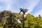 The top  of a decorative lamp in the Bahai Garden, located on Mount Carmel in the city of Haifa, in northern Israel