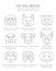 Top dog breeds. Hunting, shepherd and companion dogs set. Pet outline collection