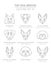 Top dog breeds. Hunting, shepherd and companion dogs set. Pet outline collection