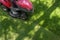 Top down above view of professional lawn mower worker cutting fresh green grass with landcaping tractor equipment