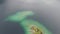 Top down aerial 4k video of topical island with jetty and small cabin surrounded by trees in lake Eibsee, Germany