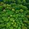 Top down aerial image of a green drone natural green