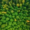 Top down aerial image of a green drone natural green
