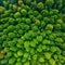 Top down aerial image of a green drone natural green