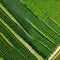 At a top down aerial photograph shows a lush summer