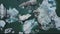 Top down aerial view of glacier icebergs floating in lagoon in Iceland