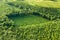 Top down aerial view of green summer forest with large area of cut down trees as result of global deforestation industry. Harmful