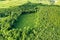 Top down aerial view of green summer forest with large area of cut down trees as result of global deforestation industry. Harmful