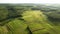 Top down aerial view of green summer forest with large area of cut down trees as result of global deforestation industry. Harmful