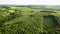 Top down aerial view of green summer forest with large area of cut down trees as result of global deforestation industry. Harmful